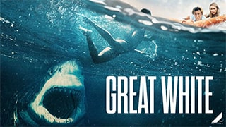 Great White Torrent Yts Yify Download Magnet